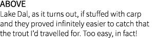 Above Lake Dal, as it turns out, if stuffed with carp and they proved infinitely easier to catch that the trout I’d t...