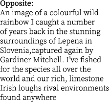 Opposite: An image of a colourful wild rainbow I caught a number of years back in the stunning surroundings of Lepena...