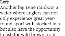Left: Another big Lene rainbow, a water where anglers can not only experience great year-round sport with stocked fis...