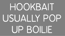 Hookbait usually pop up boilie