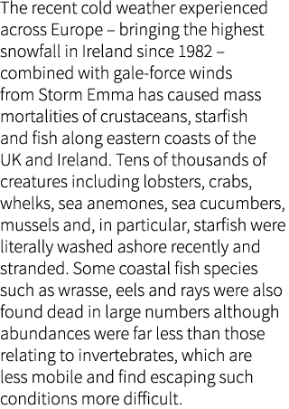 The recent cold weather experienced across Europe – bringing the highest snowfall in Ireland since 1982 – combined wi...