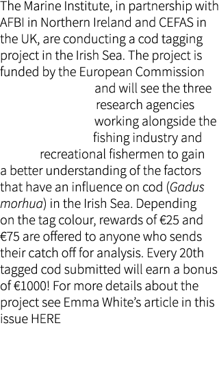 The Marine Institute, in partnership with AFBI in Northern Ireland and CEFAS in the UK, are conducting a cod tagging ...