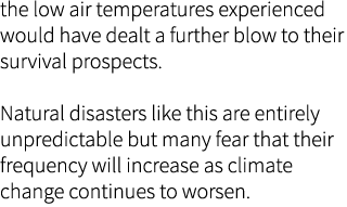 the low air temperatures experienced would have dealt a further blow to their survival prospects. Natural disasters l...