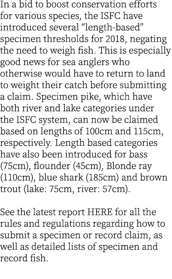 In a bid to boost conservation efforts for various species, the ISFC have introduced several “length-based” specimen ...