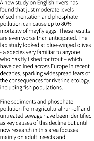 A new study on English rivers has found that just moderate levels of sedimentation and phosphate pollution can cause ...