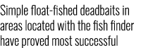 Simple float-fished deadbaits in areas located with the fish finder have proved most successful 