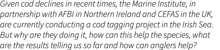 Given cod declines in recent times, the Marine Institute, in partnership with AFBI in Northern Ireland and CEFAS in t...