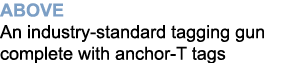 Above An industry-standard tagging gun complete with anchor-T tags