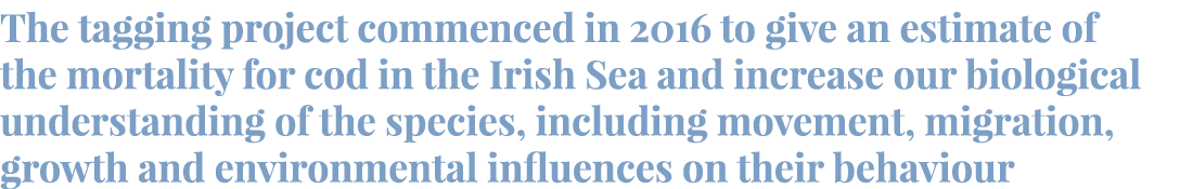 The tagging project commenced in 2016 to give an estimate of the mortality for cod in the Irish Sea and increase our ...