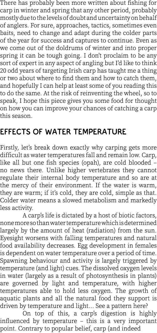 There has probably been more written about fishing for carp in winter and spring that any other period, probably most...