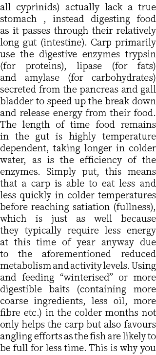 all cyprinids) actually lack a true stomach , instead digesting food as it passes through their relatively long gut (...