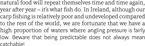 natural food will repeat themselves time and time again, year after year – it’s what fish do. In Ireland, although ou...