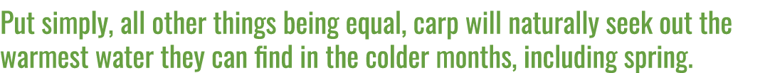 Put simply, all other things being equal, carp will naturally seek out the warmest water they can find in the colder ...