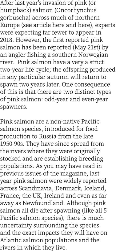 After last year’s invasion of pink (or humpback) salmon (Oncorhynchus gorbuscha) across much of northern Europe (see ...