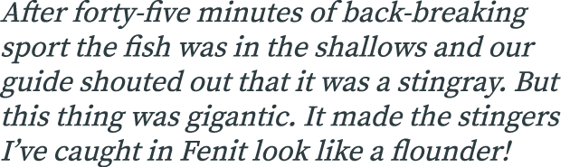 After forty-five minutes of back-breaking sport the fish was in the shallows and our guide shouted out that it was a ...