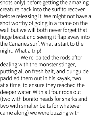 shots only) before getting the amazing creature back into the surf to recover before releasing it. We might not have ...