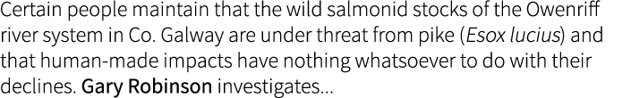 Certain people maintain that the wild salmonid stocks of the Owenriff river system in Co. Galway are under threat fro...