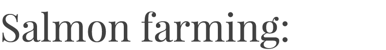 Salmon farming: