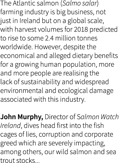 The Atlantic salmon (Salmo salar) farming industry is big business, not just in Ireland but on a global scale, with h...