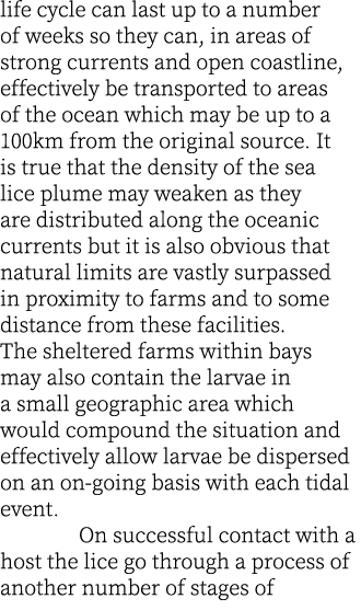 life cycle can last up to a number of weeks so they can, in areas of strong currents and open coastline, effectively ...