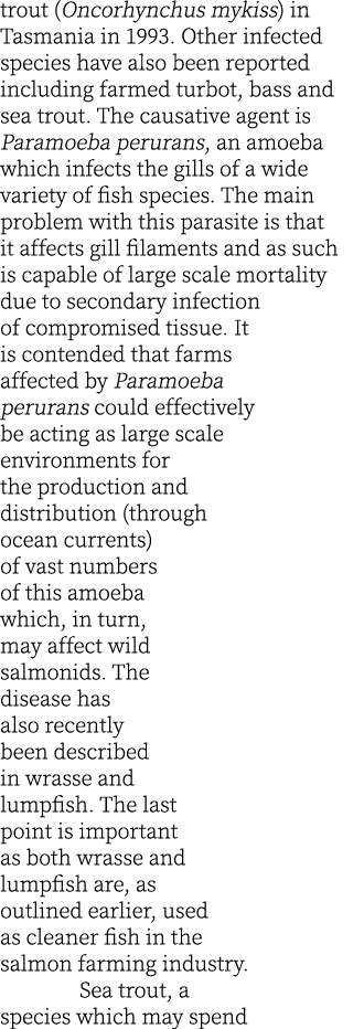 trout (Oncorhynchus mykiss) in Tasmania in 1993. Other infected species have also been reported including farmed turb...