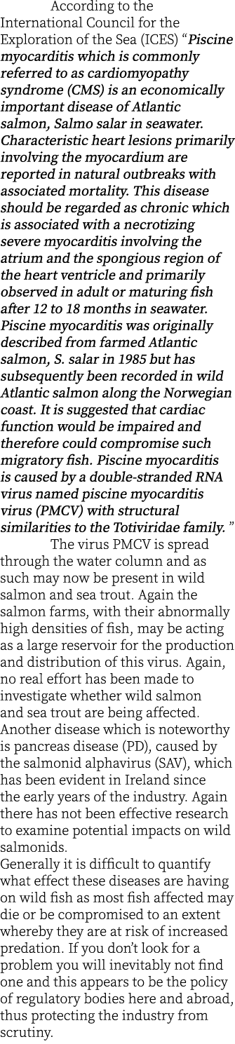  According to the International Council for the Exploration of the Sea (ICES) “Piscine myocarditis which is commonly ...
