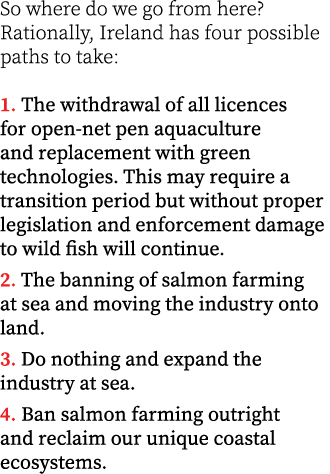 So where do we go from here? Rationally, Ireland has four possible paths to take: 1. The withdrawal of all licences f...