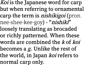Koi is the Japanese word for carp but when referring to ornamental carp the term is nishikigoi (pron. nee-shee-kee-go...