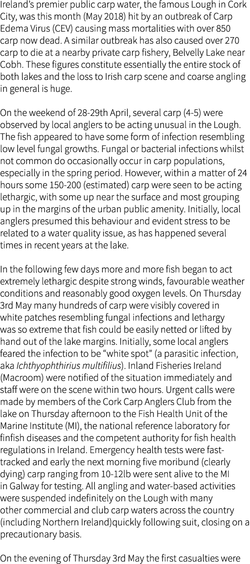 Ireland’s premier public carp water, the famous Lough in Cork City, was this month (May 2018) hit by an outbreak of C...