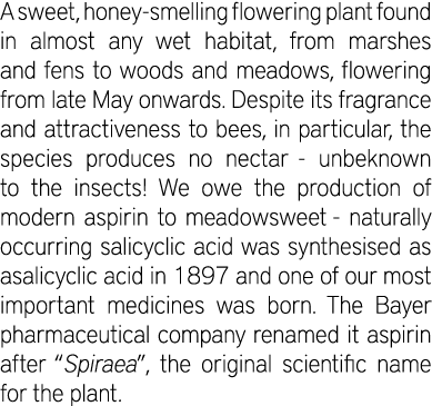 A sweet, honey-smelling flowering plant found in almost any wet habitat, from marshes and fens to woods and meadows, ...