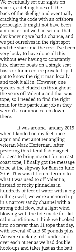 We eventually set our sights on sharks, catching blues off the back of the Skelligs and eventually cracking the code ...