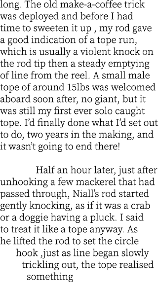 long. The old make-a-coffee trick was deployed and before I had time to sweeten it up , my rod gave a good indication...