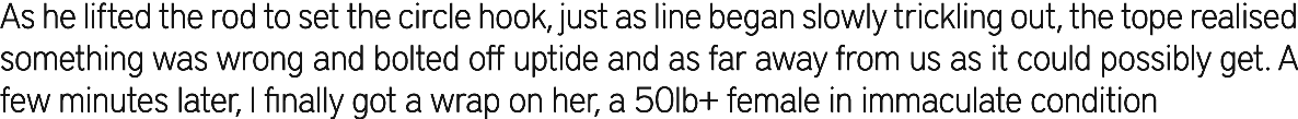 As he lifted the rod to set the circle hook, just as line began slowly trickling out, the tope realised something was...