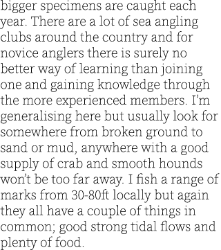 bigger specimens are caught each year. There are a lot of sea angling clubs around the country and for novice anglers...