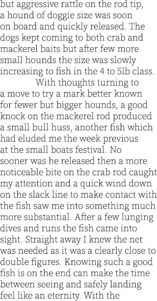 but aggressive rattle on the rod tip, a hound of doggie size was soon on board and quickly released. The dogs kept co...