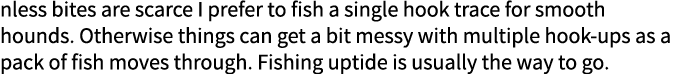 nless bites are scarce I prefer to fish a single hook trace for smooth hounds. Otherwise things can get a bit messy w...