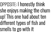 Opposite: I honestly think she enjoys making the chum up! This one had about ten different types of fish and smells t...