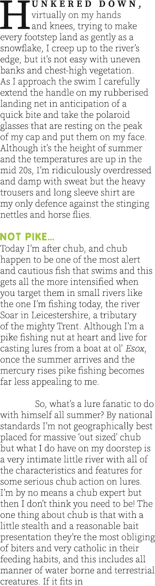 Hunkered down, virtually on my hands and knees, trying to make every footstep land as gently as a snowflake, I creep ...