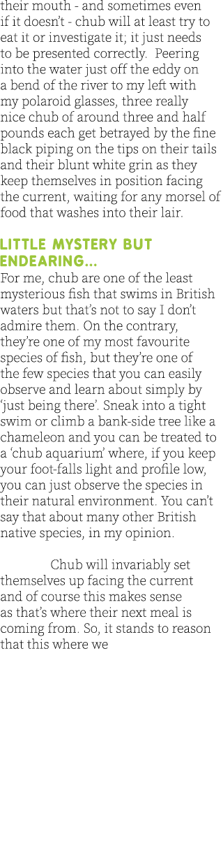their mouth - and sometimes even if it doesn’t - chub will at least try to eat it or investigate it; it just needs to...