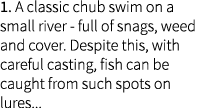 1. A classic chub swim on a small river - full of snags, weed and cover. Despite this, with careful casting, fish can...