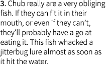 3. Chub really are a very obliging fish. If they can fit it in their mouth, or even if they can’t, they’ll probably h...