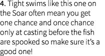4. Tight swims like this one on the Soar often mean you get one chance and once chance only at casting before the fis...
