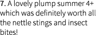 7. A lovely plump summer 4+ which was definitely worth all the nettle stings and insect bites!