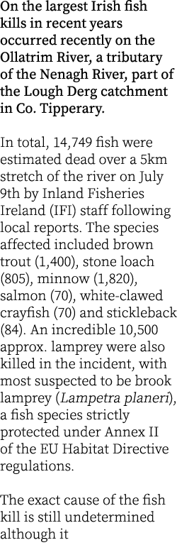 On the largest Irish fish kills in recent years occurred recently on the Ollatrim River, a tributary of the Nenagh Ri...