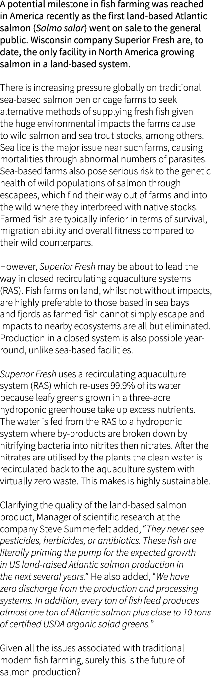 A potential milestone in fish farming was reached in America recently as the first land-based Atlantic salmon (Salmo ...