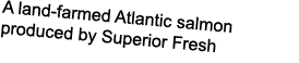 A land-farmed Atlantic salmon produced by Superior Fresh