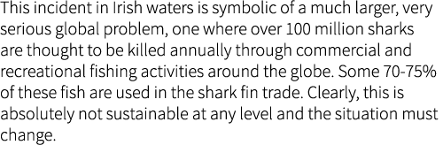This incident in Irish waters is symbolic of a much larger, very serious global problem, one where over 100 million s...