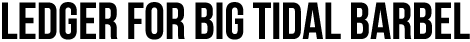 LEDGER FOR BIG TIDAL BARBEL