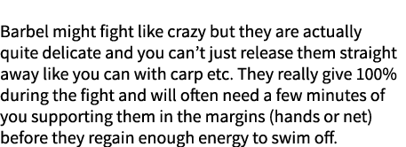 Fish care! Barbel might fight like crazy but they are actually quite delicate and you can’t just release them straigh...