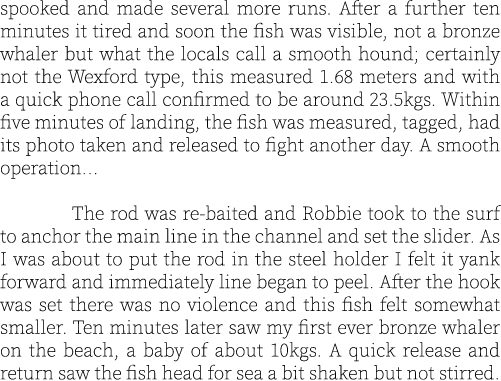 spooked and made several more runs. After a further ten minutes it tired and soon the fish was visible, not a bronze ...